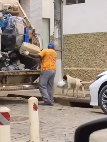 La habilidad e inteligencia del