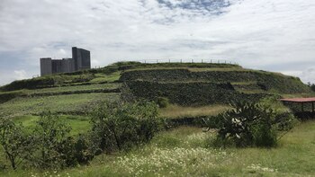 Las curvaturas laterales dan una