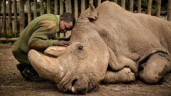 Joseph Wachira despidiendo a Sudán,