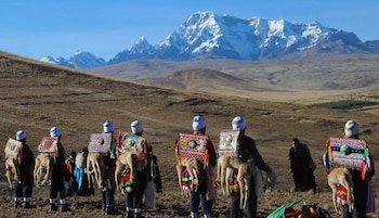La fecha dedicada a las