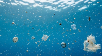 Los microplásticos oceánicos pueden detectarse