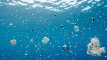 Científicos prueban un innovador método