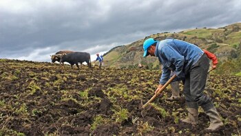 Contraloría detecta irregularidades en la