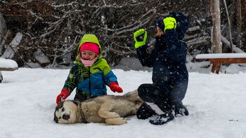 Una nueva investigación de la