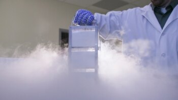 En los últimos años se