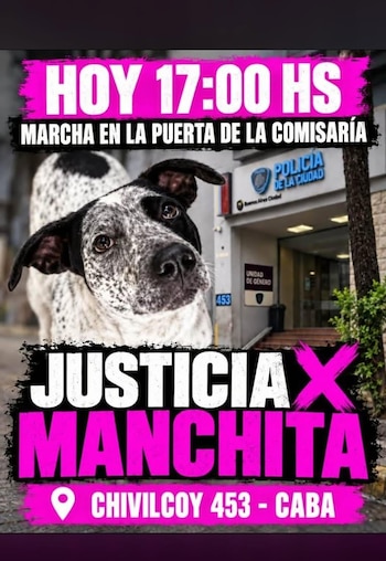 Cartel con la foto de un perro con manchas negras frente a una comisaría y textos que convocan a una marcha en Buenos Aires