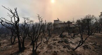 Más de siete mil hectáreas