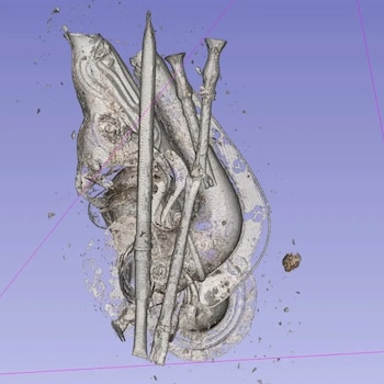 El hallazgo revive la memoria