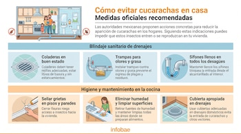 Infografía con familia, cucaracha tachada, y seis ilustraciones de medidas: coladera, trampa para olores, sifón, mano sellando grieta, mujer limpiando, y cubierta de drenaje.