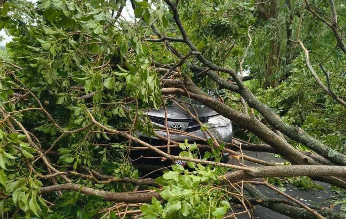 Las fuertes precipitaciones en Escuintla dañaron la ruta entre Cocales y Nueva Concepción y afectaron la conectividad en la Costa Sur de Guatemala. (Facebook)