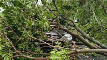 Colapsa importante arteria vial en Guatemala tras fuerte lluvia con viento