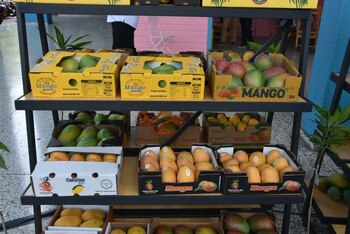 La prohibición frenó envíos previstos para julio y agosto y provocó pérdidas estimadas en 1,5 millones de dólares, además de una caída del 50% en el valor local, según productores y Listín Diario (Foto cortesía Ministerio de Agricultura)