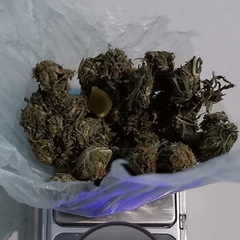 Mujer es detenida por llevar