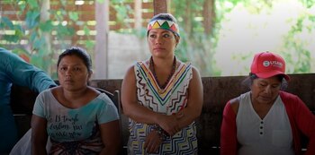 Cada recolector en Puerto Arturo