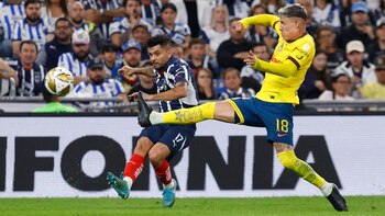 No te pierdas ningún detalle