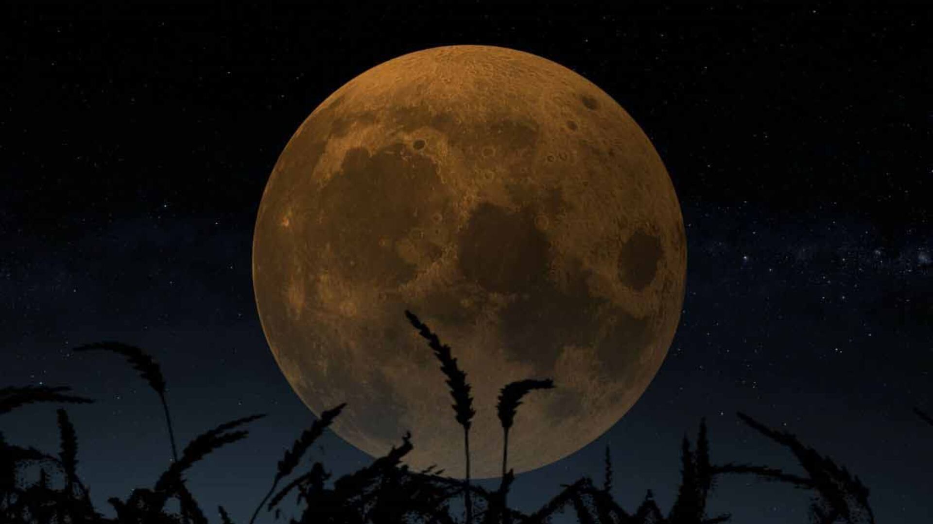 Luna Llena de Cosecha en septiembre 2026: fecha y hora exacta para verla en su punto máximo de tono dorado brillante