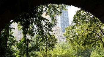 Vista desde un arco que enmarca árboles verdes y frondosos, un farol antiguo en la izquierda y edificios altos de la ciudad al fondo