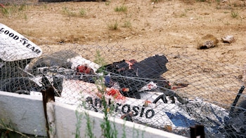 El Shadow DN8 de Tom