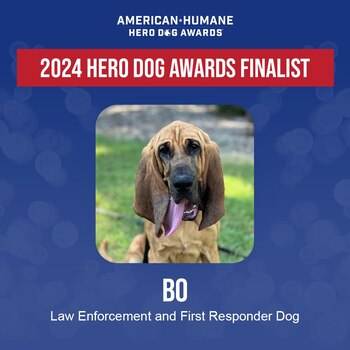 Bo Law Enforcement Hero Dogs
