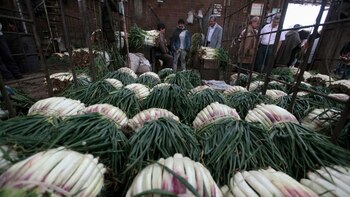 Bogotá presenta un rango normal