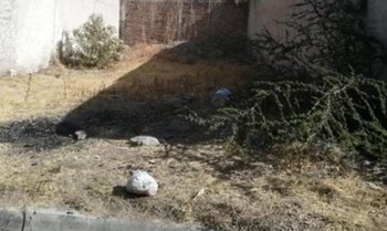 Un ciudadano identificó a la