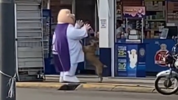 La persona detrás de la