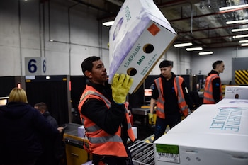 La revaluación del peso, estimada en 26%, redujo los ingresos del sector de flores de Colombia en el último año y medio - crédito Cristian Bayona/Colprensa