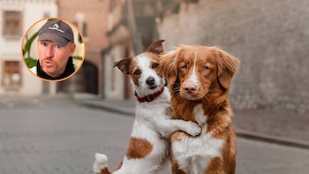 Alan Peiró, adiestrador canino: “Si tu perro tiene problemas, adoptar un segundo perro no los va a solucionar, los va a potenciar”