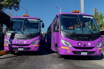 Algunas unidades de transporte público
