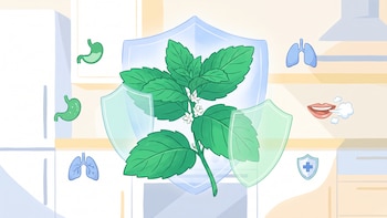Por qué la menta es recomendada por la ciencia para mejorar la salud