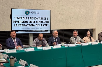 En un taller organizado por la Cámara de Diputados, la CFE explicó los proyectos con la inversión privada.
Crédito: X/ @aramirezcuellar