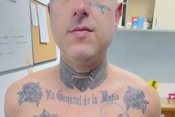 Los tatuajes del detenido por amenazas Javier Milei