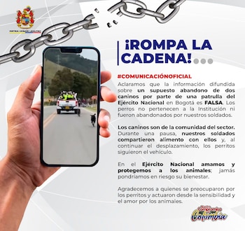El comunicado oficial del Ejército afirma que los perros pertenecen a la comunidad del sector y siguieron la patrulla tras recibir alimento en un control - crédito @COL_EJERCITO/X