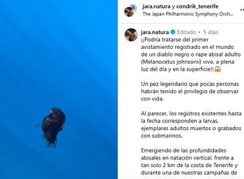 (Captura de pantalla//jara.natura/Condrik Tenerife)