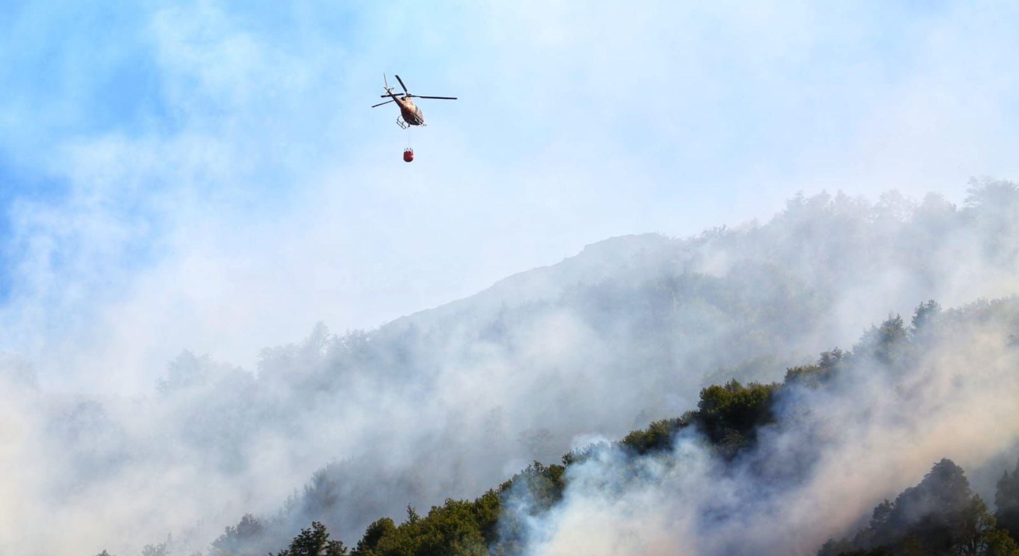 Incendio en Neuquén (Gobierno de Neuquén)