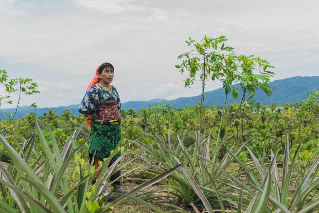 En Guna Yala se desarrollan iniciativas para fortalecer actividades económicas y brindar nuevas oportunidades a los jóvenes dentro de sus propios territorios. Cortesía
