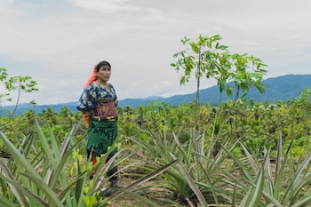En Guna Yala se desarrollan iniciativas para fortalecer actividades económicas y brindar nuevas oportunidades a los jóvenes dentro de sus propios territorios. Cortesía