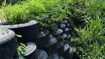 Alerta en Cundinamarca: La CAR advierte sobre los graves riesgos del abandono y quema de llantas usadas