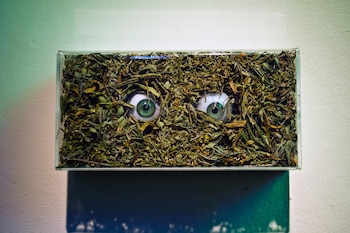 La obra "Visión", una caja