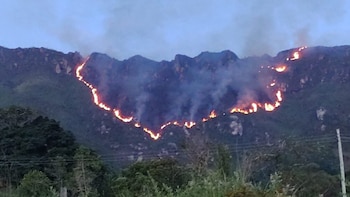 Imágenes del incendio en Melgar,