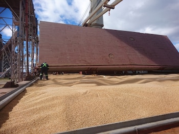 Soja exportación