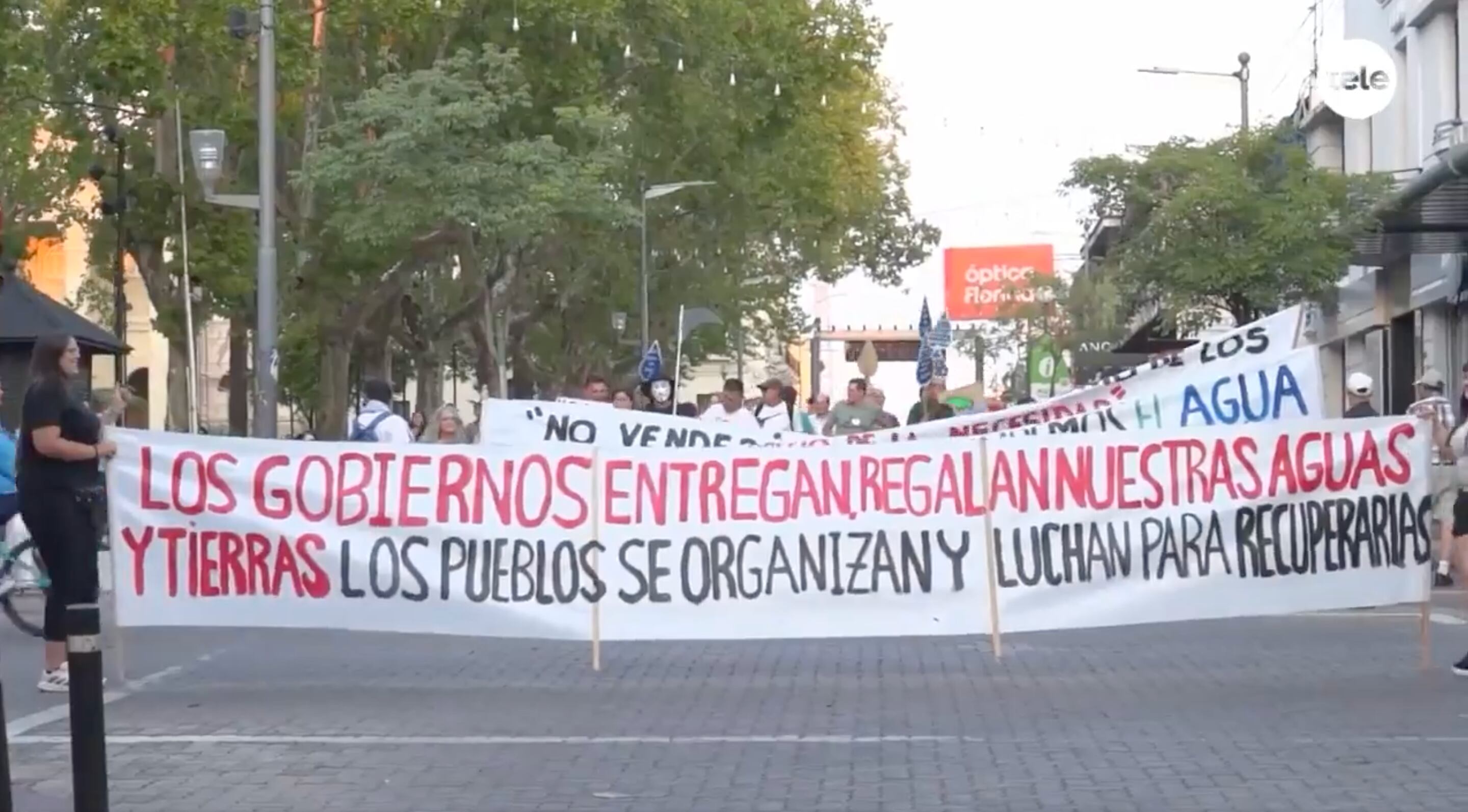 Manifestaciones en contra de la construcción de una planta de hidrógeno verde en Paysandú (Captura Telemundo/Canal 12)