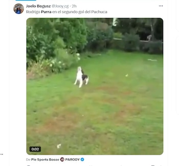 La afición explotó con memes