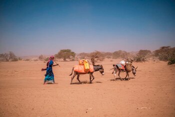 Un pastor con burros en