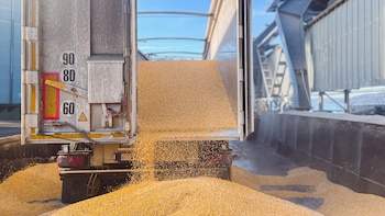 Santa Fe ordena el ingreso