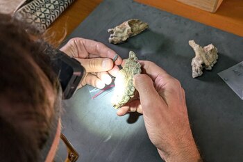 El paleoantropólogo Lucas Delezene compara