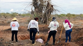 Nombrar a las madres buscadoras como defensoras de derechos humanos es un asunto jurídico y lo revisará Segob, asegura Sheinbaum