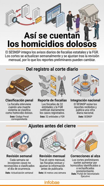 Infografía con ilustraciones de un mallete, un mapa de México, servidores informáticos, un calendario y un gráfico con una flecha ascendente.
