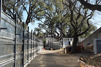 Dentro de esta primera fase