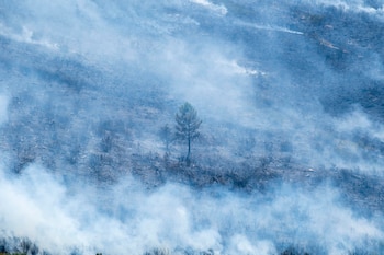El incendio está lejos de ser controlado, mientras suma ya 32 pueblos evacuados con unas 1.200 personas afectadas y el dispositivo está centrado en proteger a las poblaciones